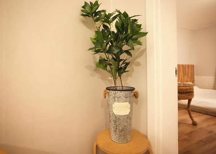 Apartment Ring House *